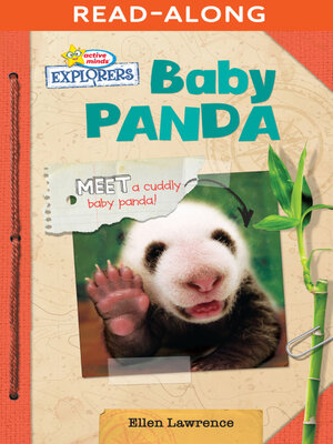 cover image of Baby Panda